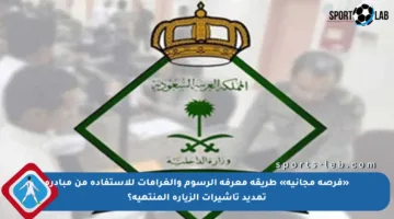 «فرصة مجانية» طريقة معرفة الرسوم والغرامات للاستفادة من مبادرة تمديد تأشيرات الزيارة المنتهية؟